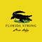 Florida Strong artwork