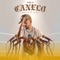 Como El Canelo - Mateo de Dios lyrics