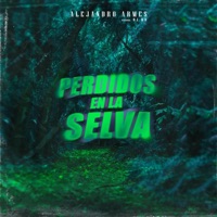 Perdidos en la selva (feat. DJ Mario Romero) - Single - Alejandro Armes