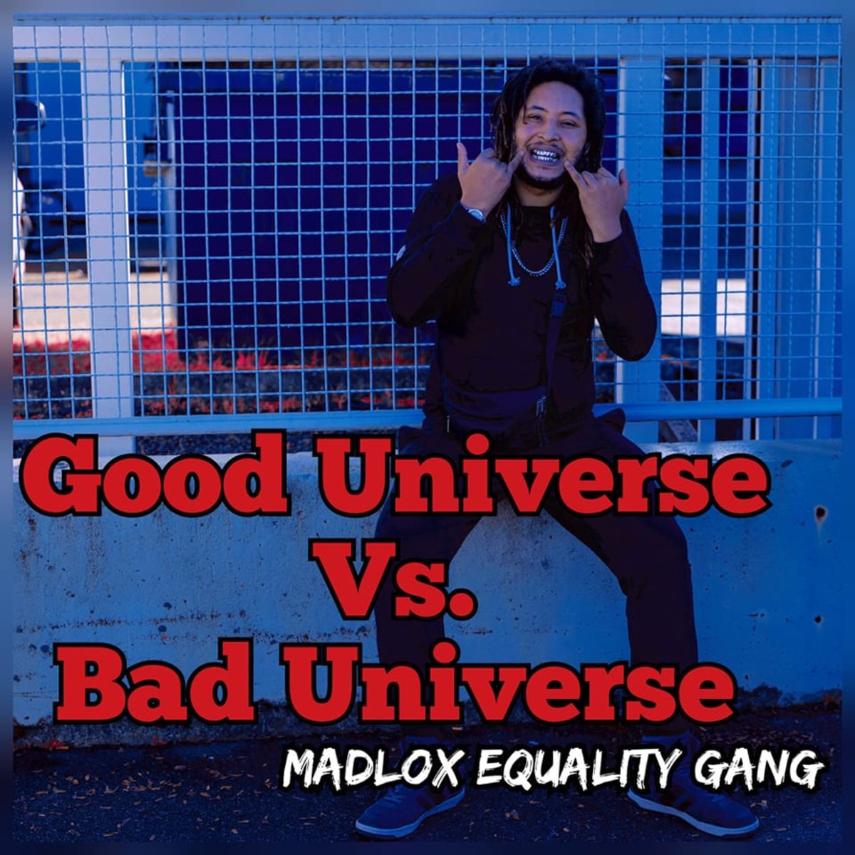 Good Universe Vs. Bad Universe - Album by Madlox - Apple Music