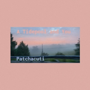 A Tidepool and You