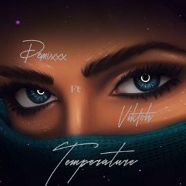 Temperature (feat. Viktoh) [2021 Remastered Version] Demixxx