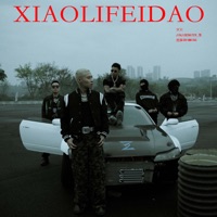 小李飞刀 (feat. JinJiBeWater_隼 & 连麻swimming) - Single - ICE