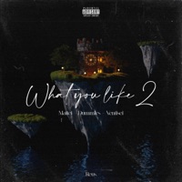 What you like 2 (feat. Dummles, Ventisei & Mattei) - Single - Garaggino