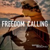 Freedom Calling - Single