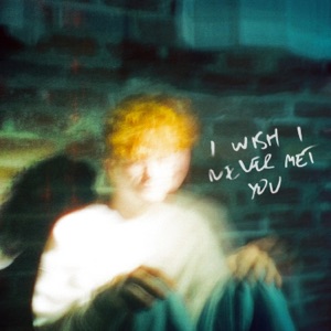 I Wish I Never Met You - Single