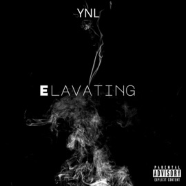 Elevating YNL