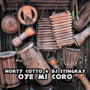 Oye Mi Coro - Single
