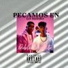 Pecamos en lo mismo - Single