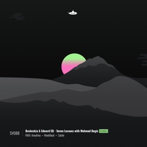 Seven Lessons With Mehmed Begic (Remixes) - Single