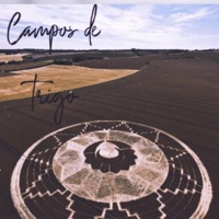 Campos de trigo - Single - PLMK