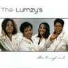 The Lumzys - Safe in His Arms