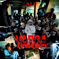 Yarga - ALP