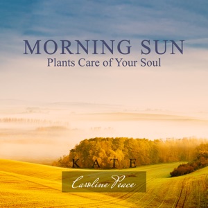 Morning Sun Plants Care of Your Soul