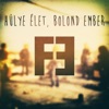 Hülye Élet, Bolond Ember - Single