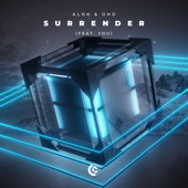 Surrender (feat. YOU) artwork