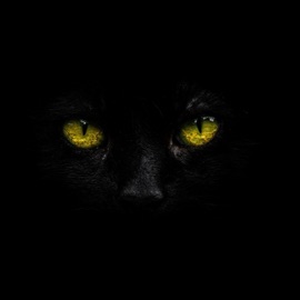 Arianna (feat. 444Dxr) Ck