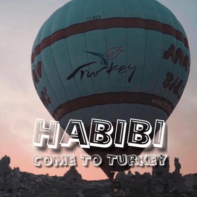 Habibi Come To Turkey - Single