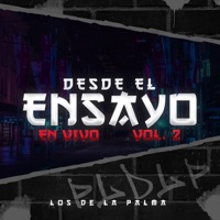 Desde el Ensayo, Vol. 2 - Grupo Los de la Palma