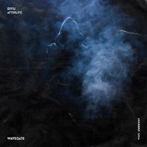 Afterlife - Single