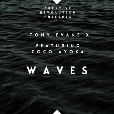 Waves (Hold It Down) [Radio Edit] - Single