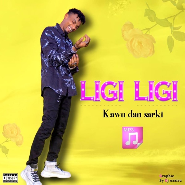 Ligi Ligi