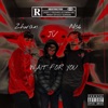 Wait For You (feat. JV & NS6) - Single