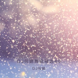 为爱付出(DJ Version) DJ何鹏 & 庄妮