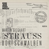 Dorfschwalben aus Österreich, Op. 164 artwork