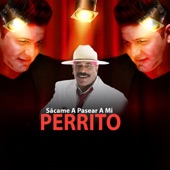 Sacame a Pasear a Mi Perrito (feat. Pedrito Calvo) artwork