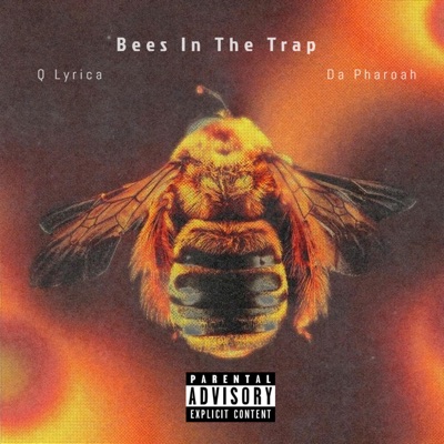 Bee's In the Trap (feat. QLyrica) - Single