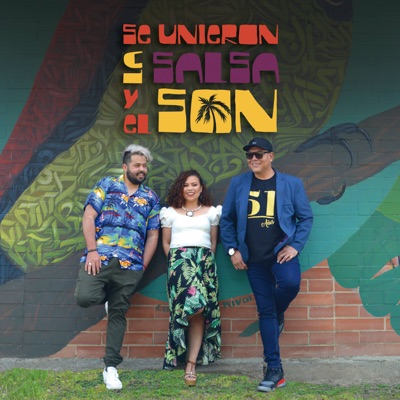 Se Unieron la Salsa y el Son (feat. Alex Guzman) - Single