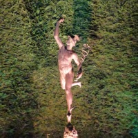 Rwall - Single - Wisco