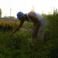 Bonita Morena (feat. Mistersir) - Single - Caramelo