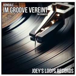 Im Groove Vereint (Andy Bsk Remix)