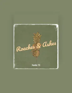 Xander TGを聴いたり、ミュージックビデオを鑑賞したり、経歴やツアー日程などを確認したりしましょう！