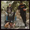 Autopilot