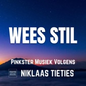 Staande Rots (feat. Niklaas Tieties) artwork