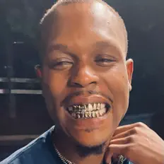 Prezidential Prezzi सुनें, म्यूज़िक वीडियो देखें, बायो पढ़ें, दौरे की तारीखें और बहुत कुछ देखें!