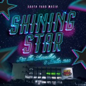 SHINING STAR artwork