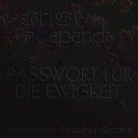 Passwort für die Ewigkeit (Standard Version) - Single - Papapanda