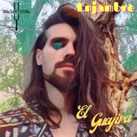 Enjambre (feat. El Guajira & Paco Santana) - Single - Wasintonía