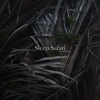Sleep Safari