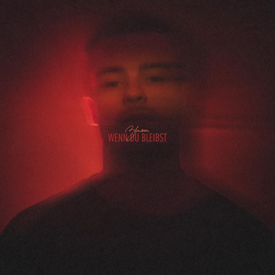 Wenn du bleibst - Single