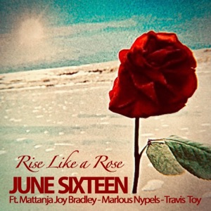 Rise Like a Rose (feat. Mattanja Joy Bradley, Marlous Nypels & Travis Toy) - Single