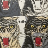 Tribe (feat. Lee Hogans & Nino Chankwang) - Single - 8on