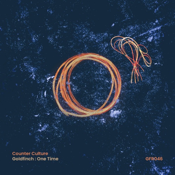 Goldfinch / One Time - Single
