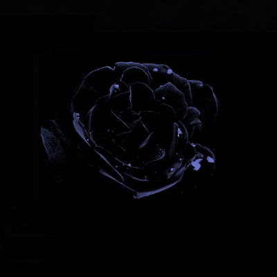 In plasa ta (feat. DI23I) - Single