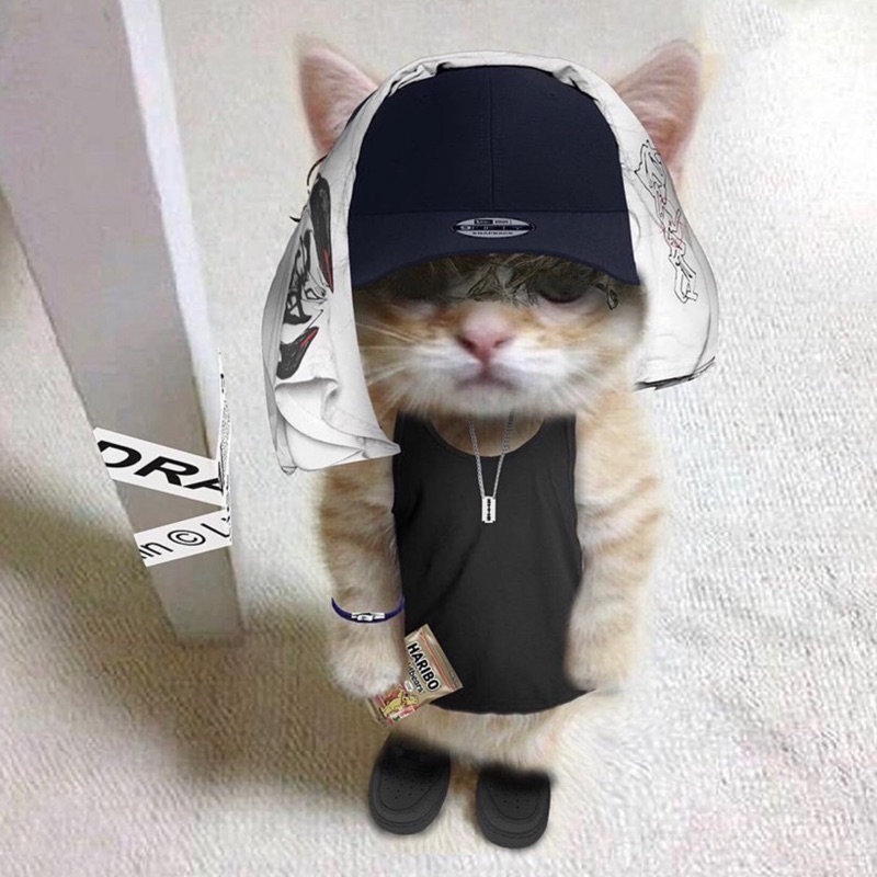 Lil Kappo - Nick Dick Toatin (feat. Toatin & Sexy Alv)