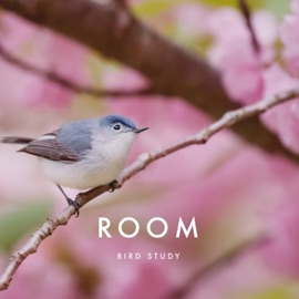 Bird Study Room